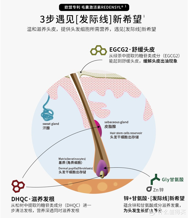 秃头男女孩们害怕过年聚会？几款防脱产品使用体验，希望能帮到你！