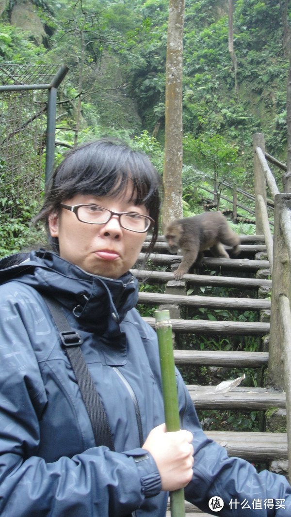 峨眉山，一日速游高中低山区（包含金顶+生态猴区）