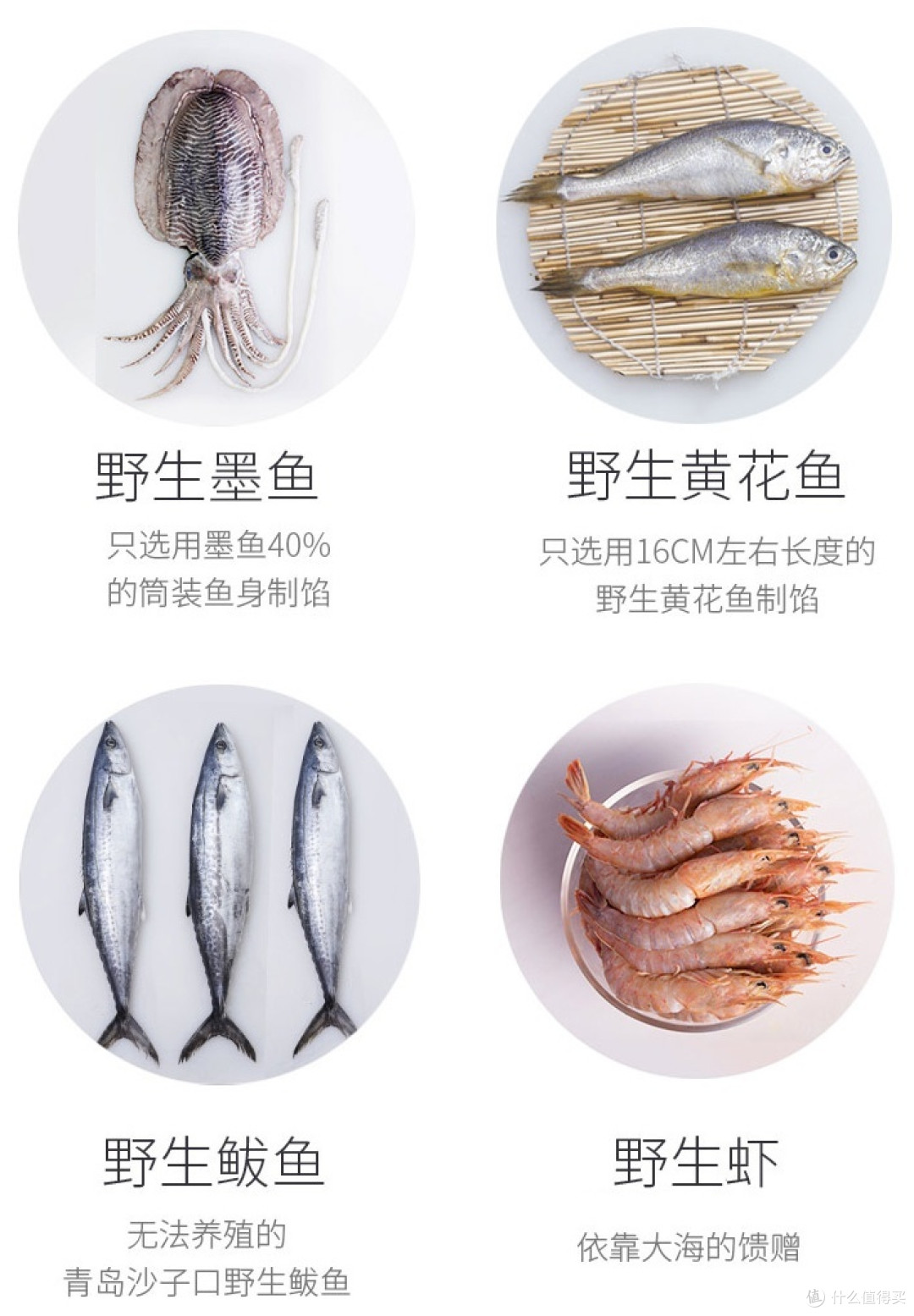 饺中有条手作的鱼——初尝船歌鱼水饺