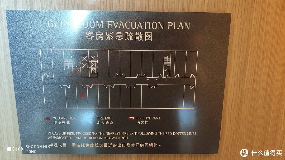 楼层平面图