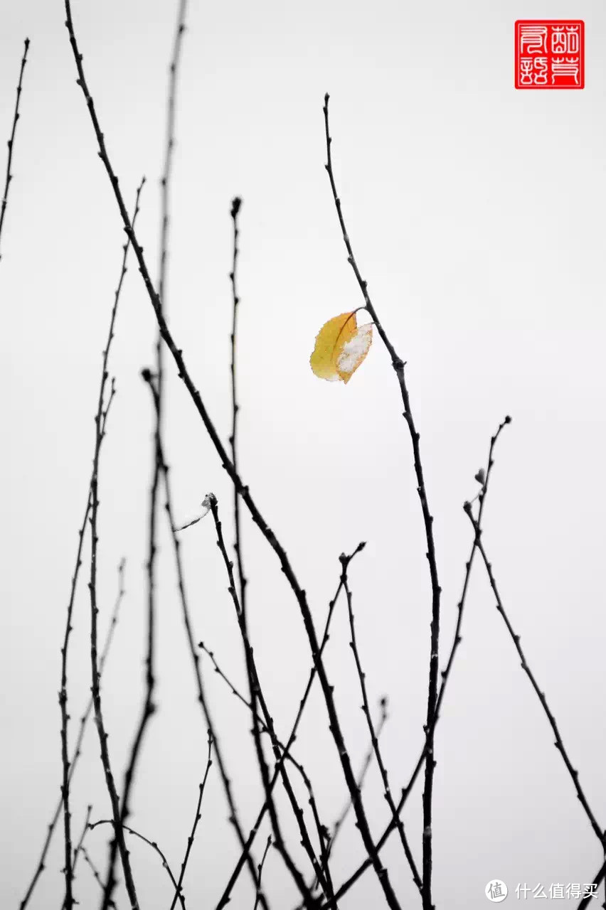 又快下雪啦，准备好器材~拍拍拍