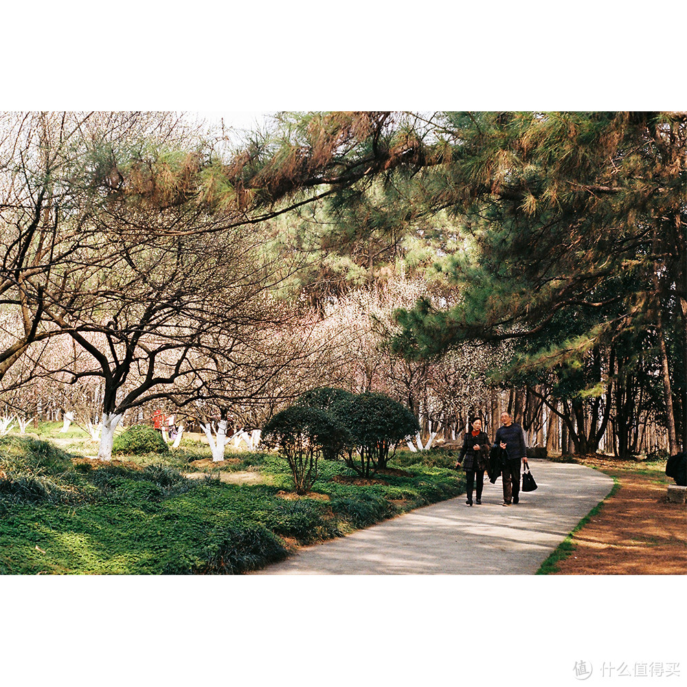 合肥植物园