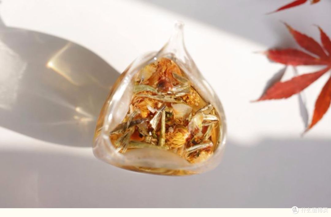 2019值得总结:唐望花针,一鉴倾心