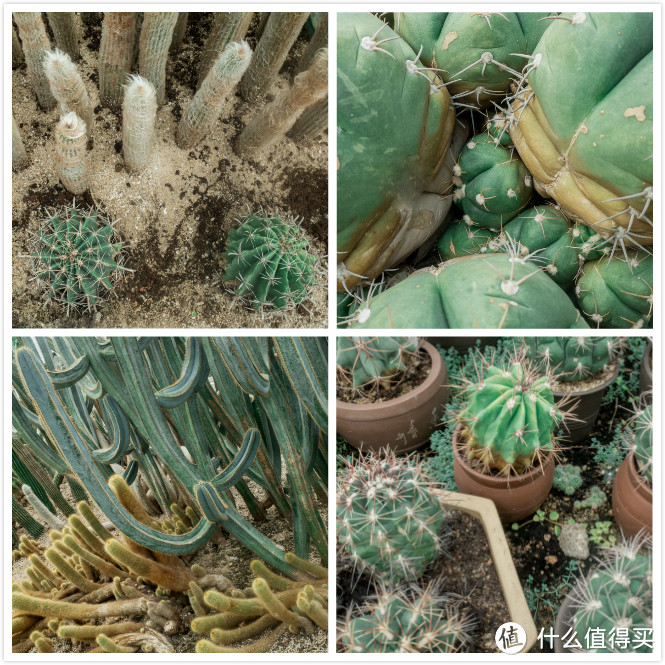厦门旅行攻略 厦门旅行攻略