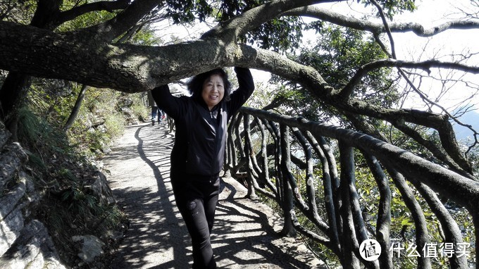 ❤带着妈妈游湘西❤ 雾蒙蒙的张家界，惊险的天门山，迷人的凤凰