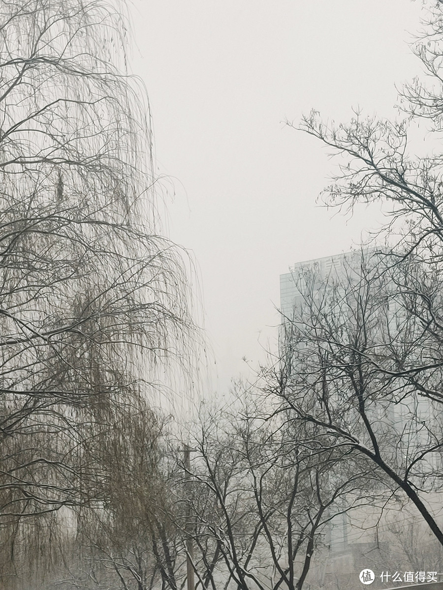 北京第二场雪来也匆匆，去也匆匆