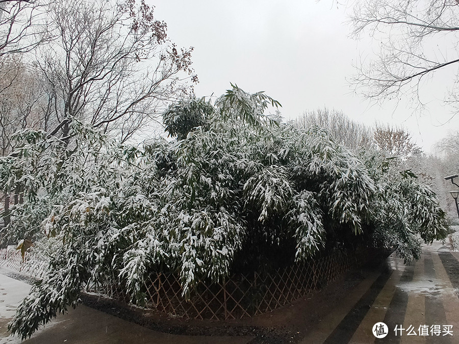 北京第二场雪来也匆匆，去也匆匆