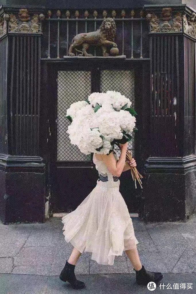 像买白菜一样买花,像养猪一样养花(小白买花实操指南)
