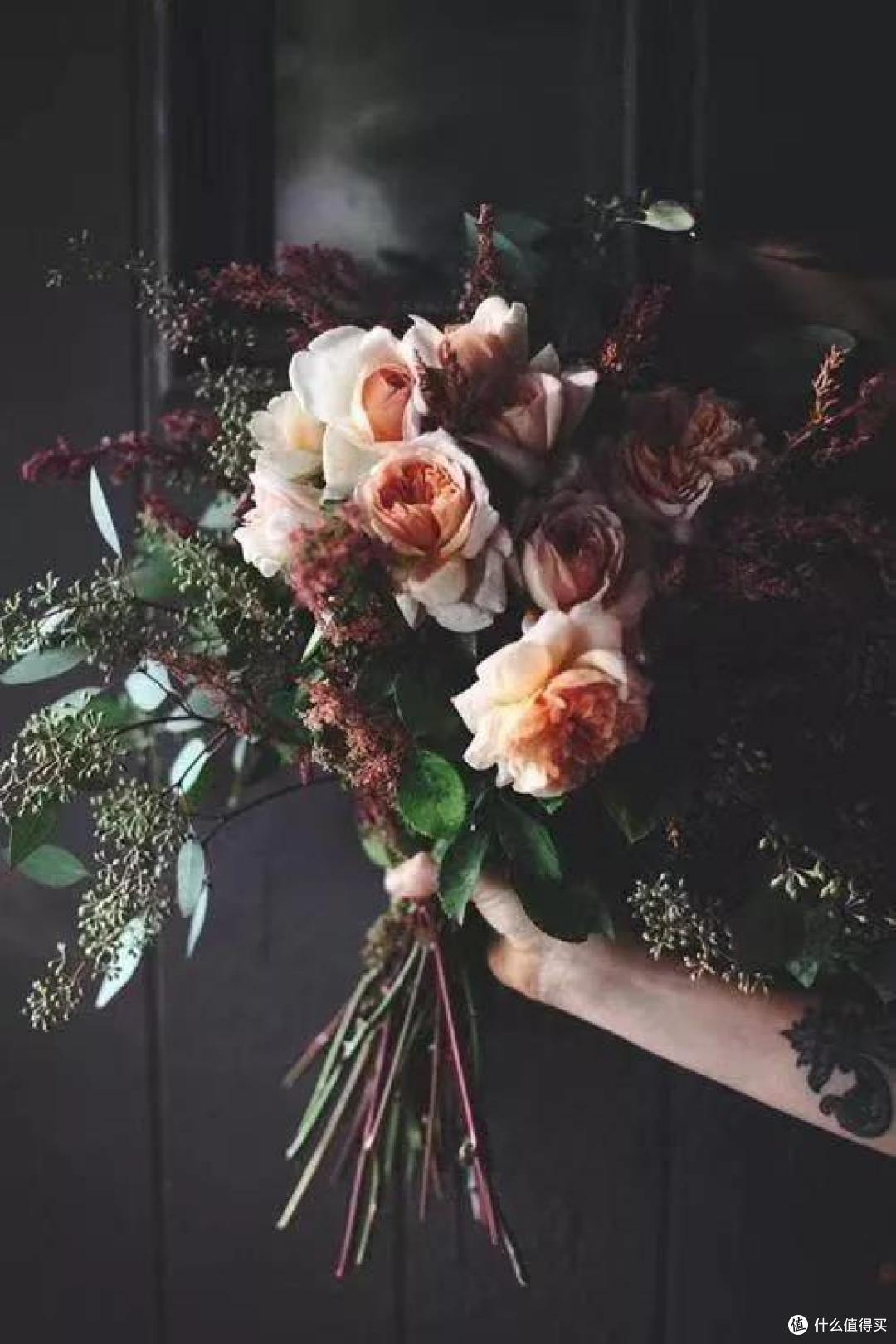 像买白菜一样买花,像养猪一样养花(小白买花实操指南)