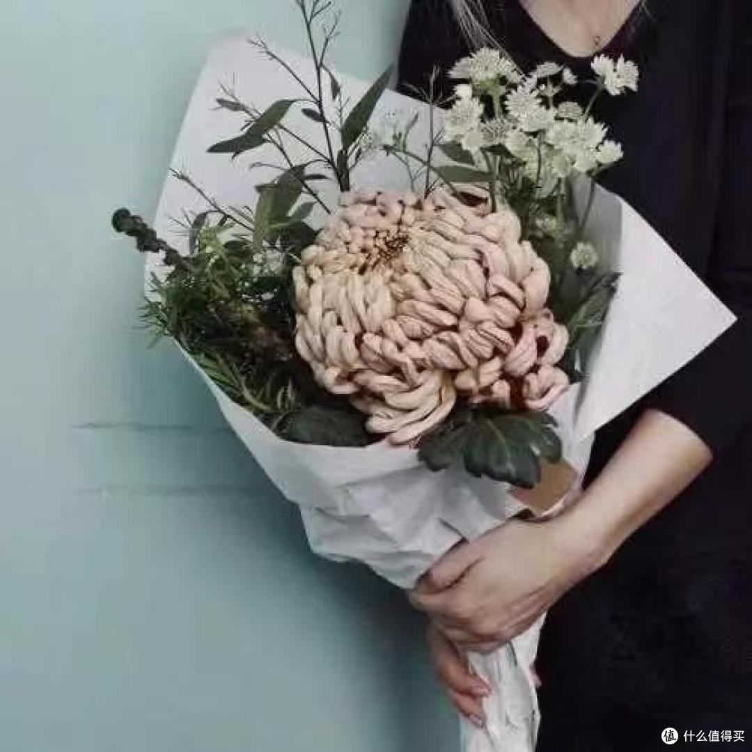 像买白菜一样买花,像养猪一样养花(小白买花实操指南)