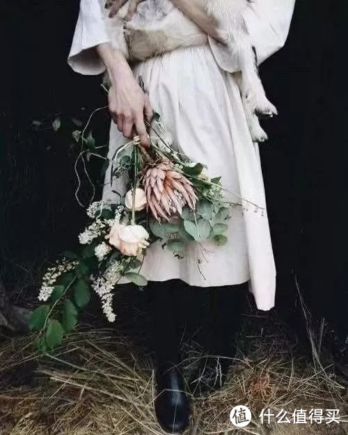 像买白菜一样买花,像养猪一样养花(小白买花实操指南)