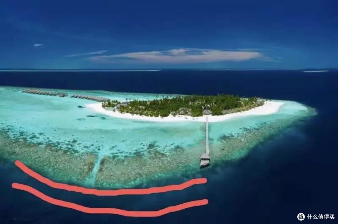 马尔代夫浮潜分等级ABC？岸边浮潜还能看珊瑚？那都是骗你们的！