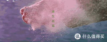 《只有芸知道》:前半程笑得舒服,后半程哭得感慨
