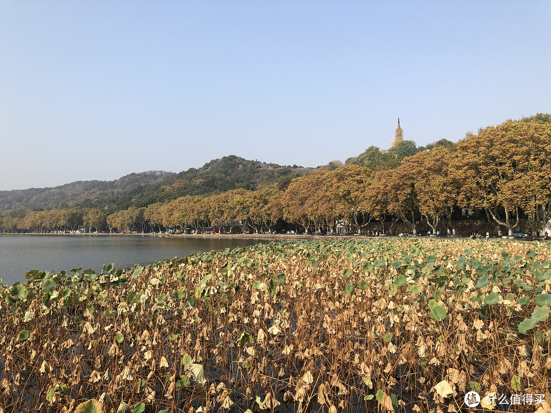 2019年逛了什么地