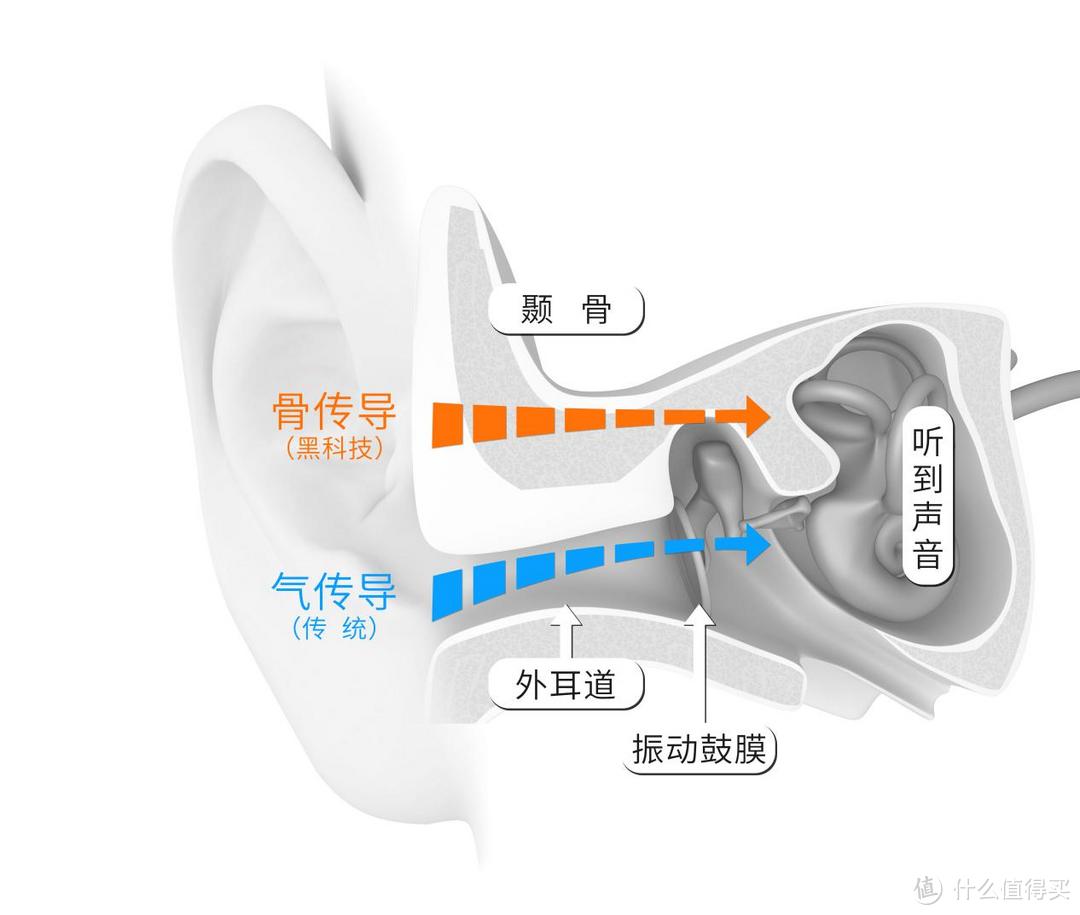  彻底释放双耳，安全运动新伴侣韶音AS800 Aeropex骨传导运动耳机体验