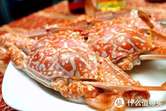 冬天去哪里放飞自我?当然是芽庄啦