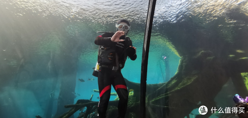 偶遇清洁水族馆的帅锅