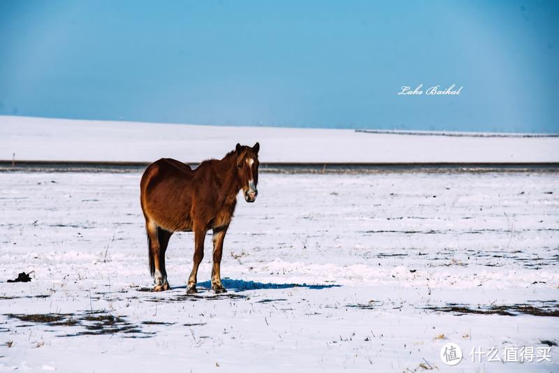 【贝加尔湖畔❄️邂逅蓝冰】那些很冒险的梦，我们一起去疯