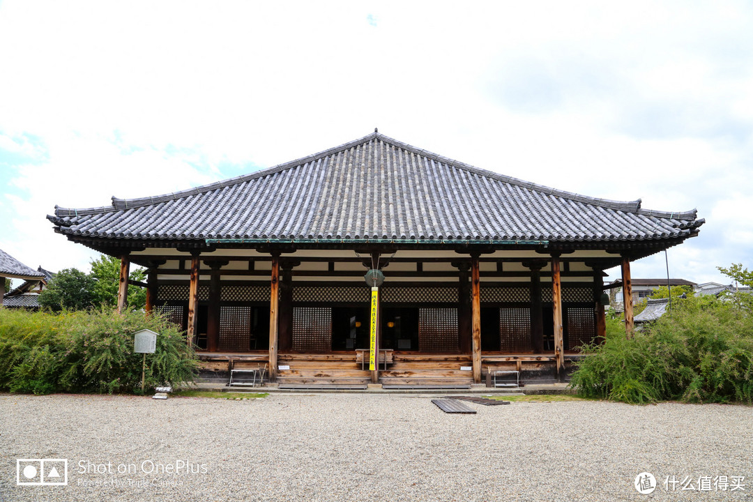 奈良 小鹿遍地的社寺之都