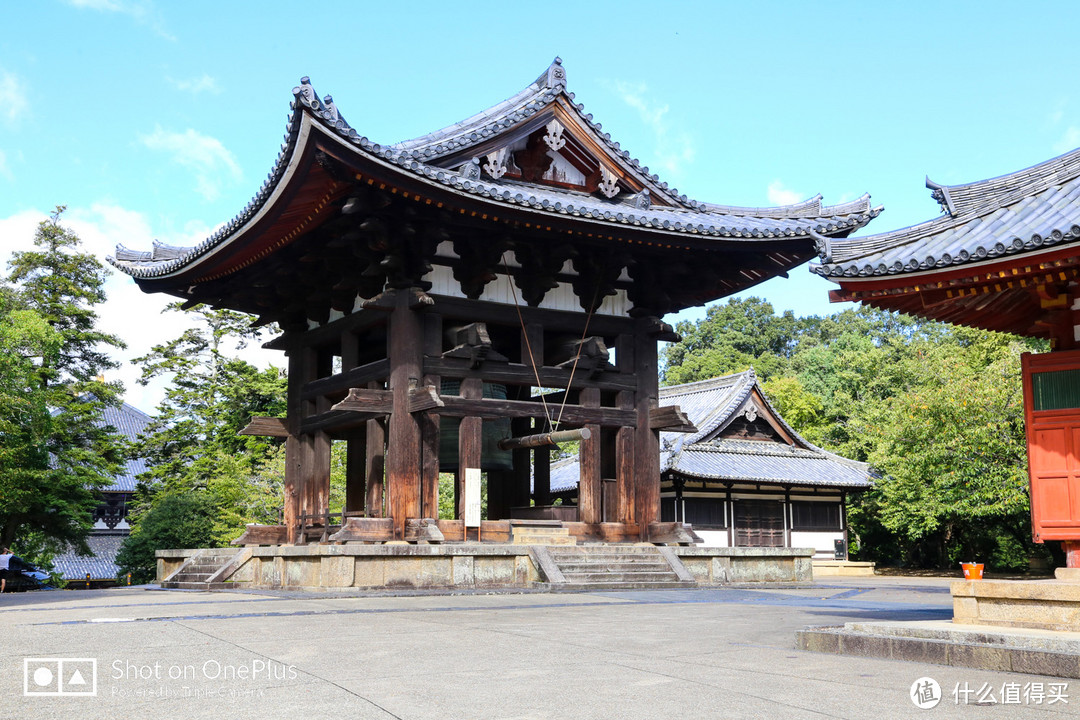 奈良 小鹿遍地的社寺之都