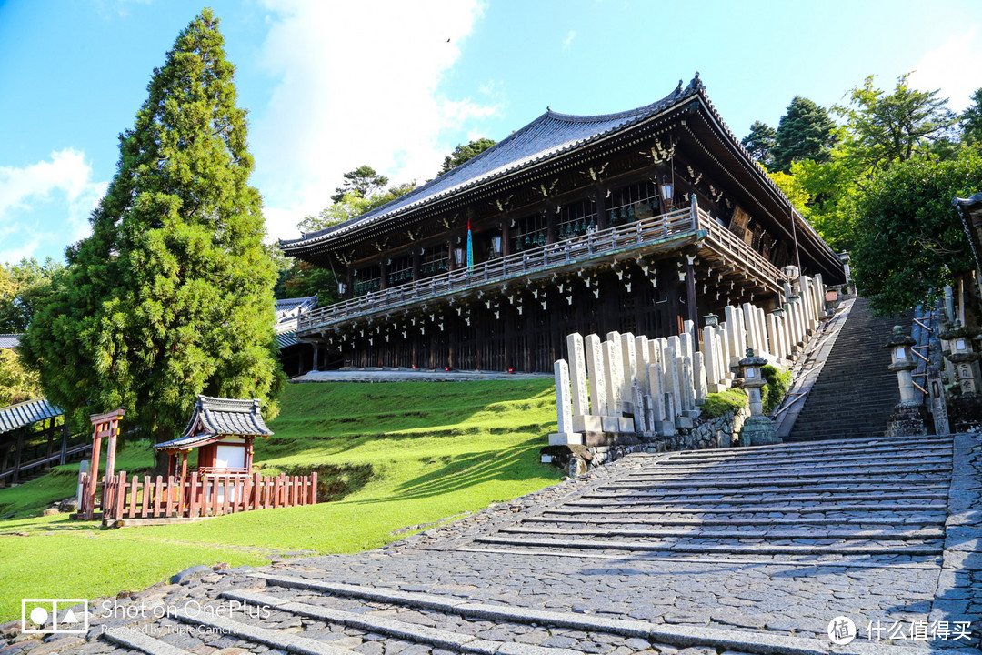 奈良 小鹿遍地的社寺之都