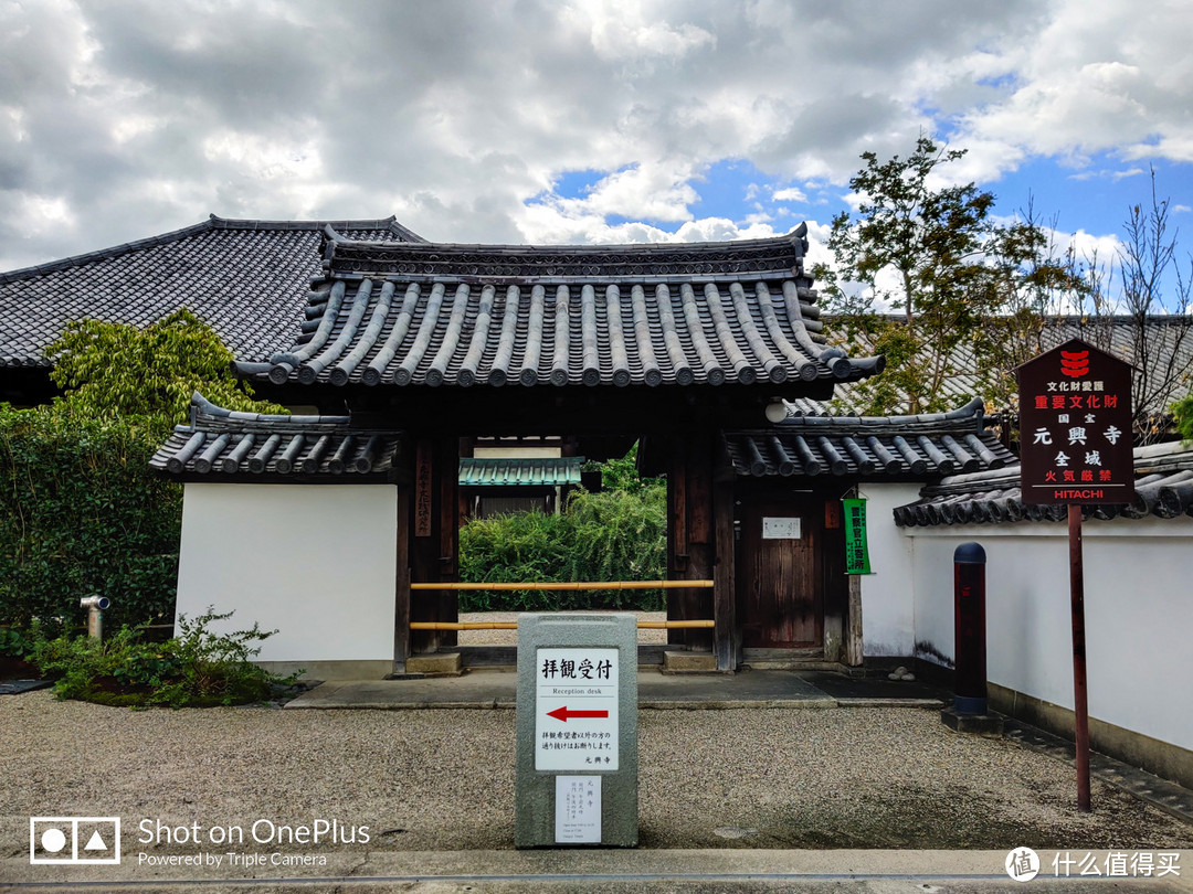 奈良 小鹿遍地的社寺之都