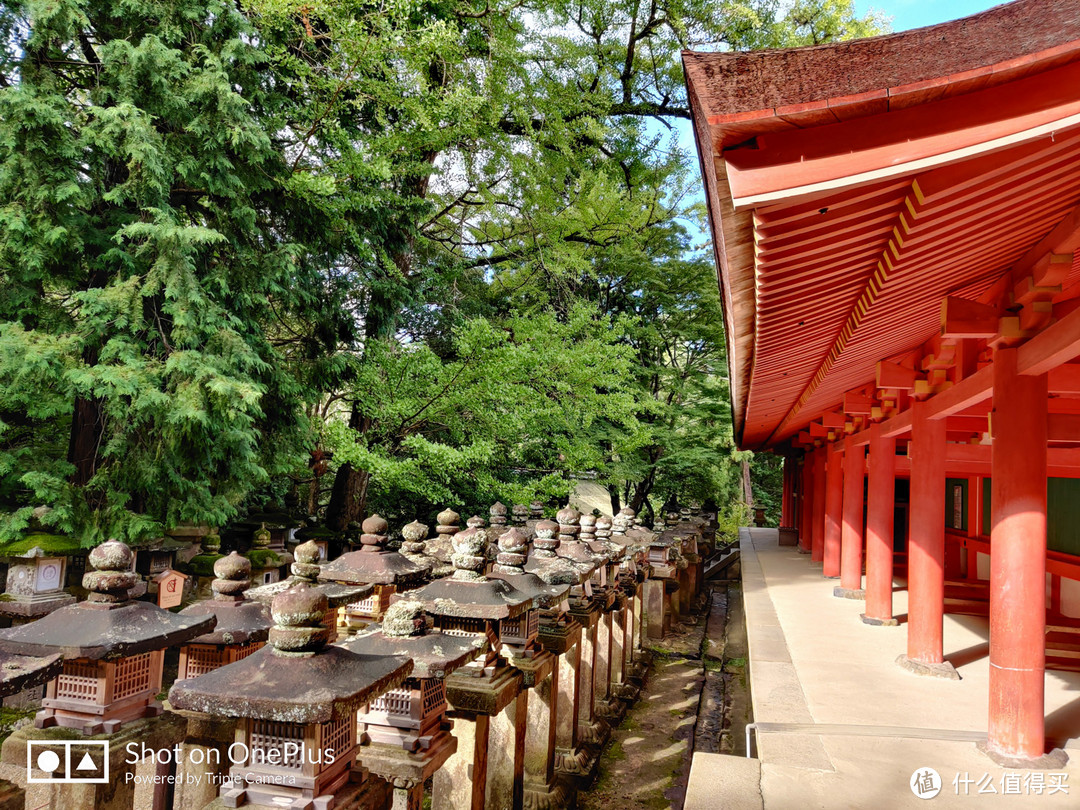 奈良 小鹿遍地的社寺之都