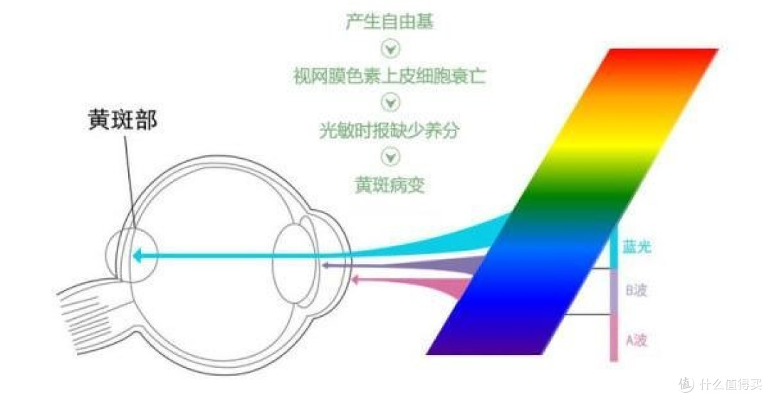 可能是最便宜的投影 商用会死 哄孩子专用