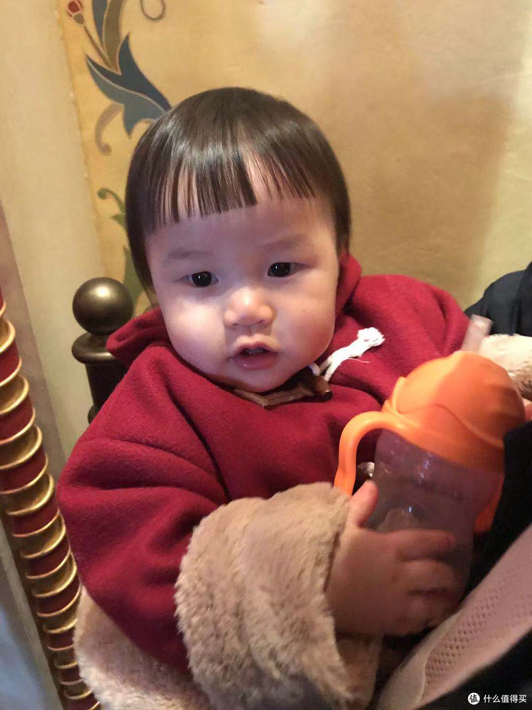 游记二~一岁宝宝首游迪士尼~无VIP无导游0排队能玩的都玩上~之迪士尼旅攻略~