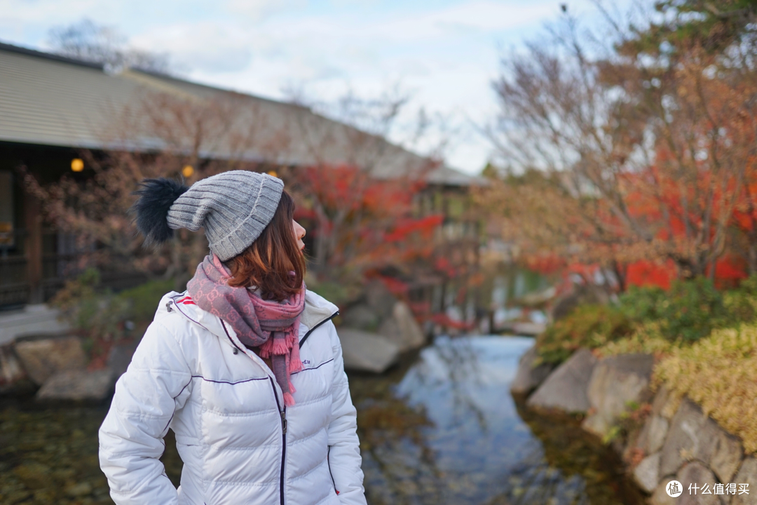 日本中部圣诞跨年之旅(名古屋,高山,新高穗,金泽)