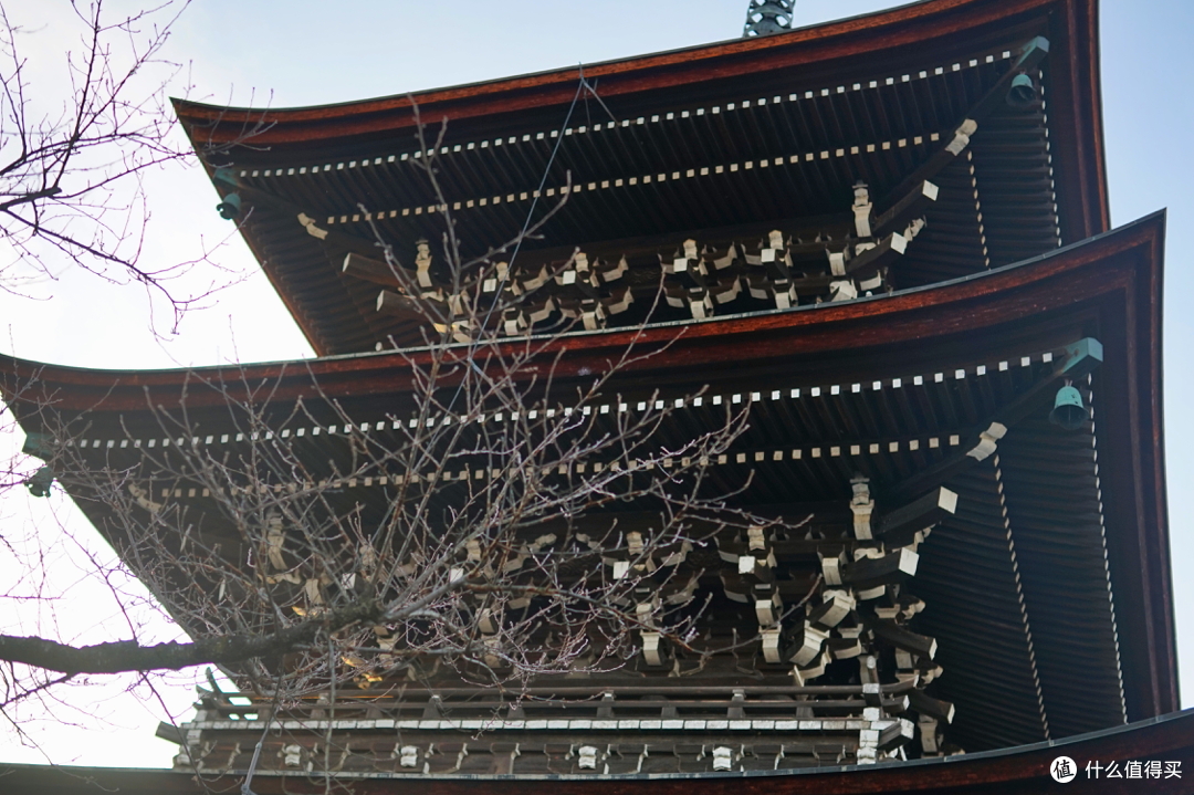 日本中部圣诞跨年之旅(名古屋,高山,新高穗,金泽)