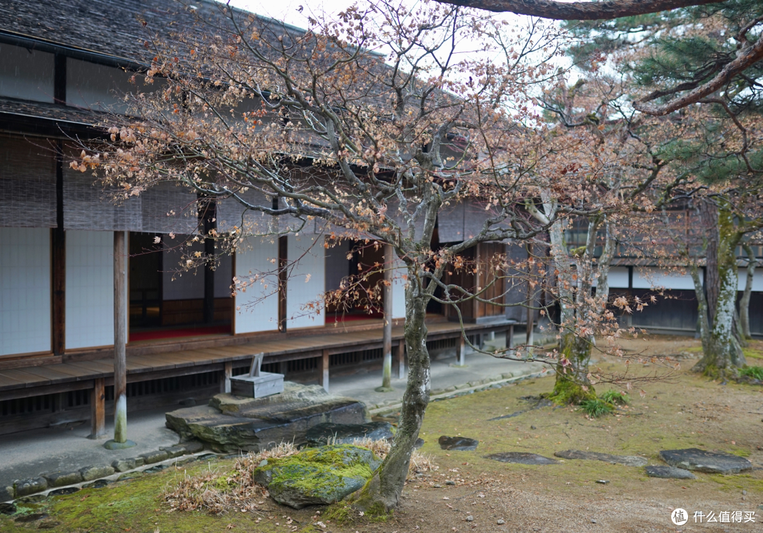 日本中部圣诞跨年之旅(名古屋,高山,新高穗,金泽)