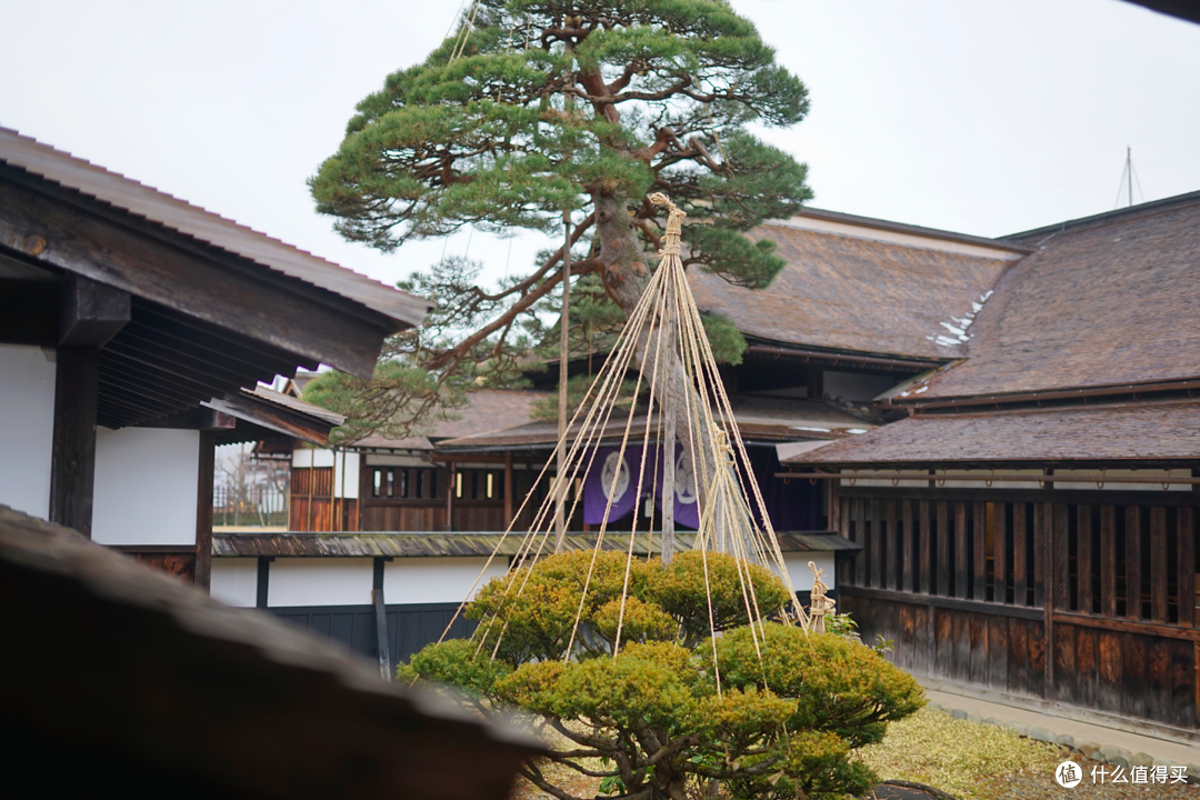 日本中部圣诞跨年之旅(名古屋,高山,新高穗,金泽)