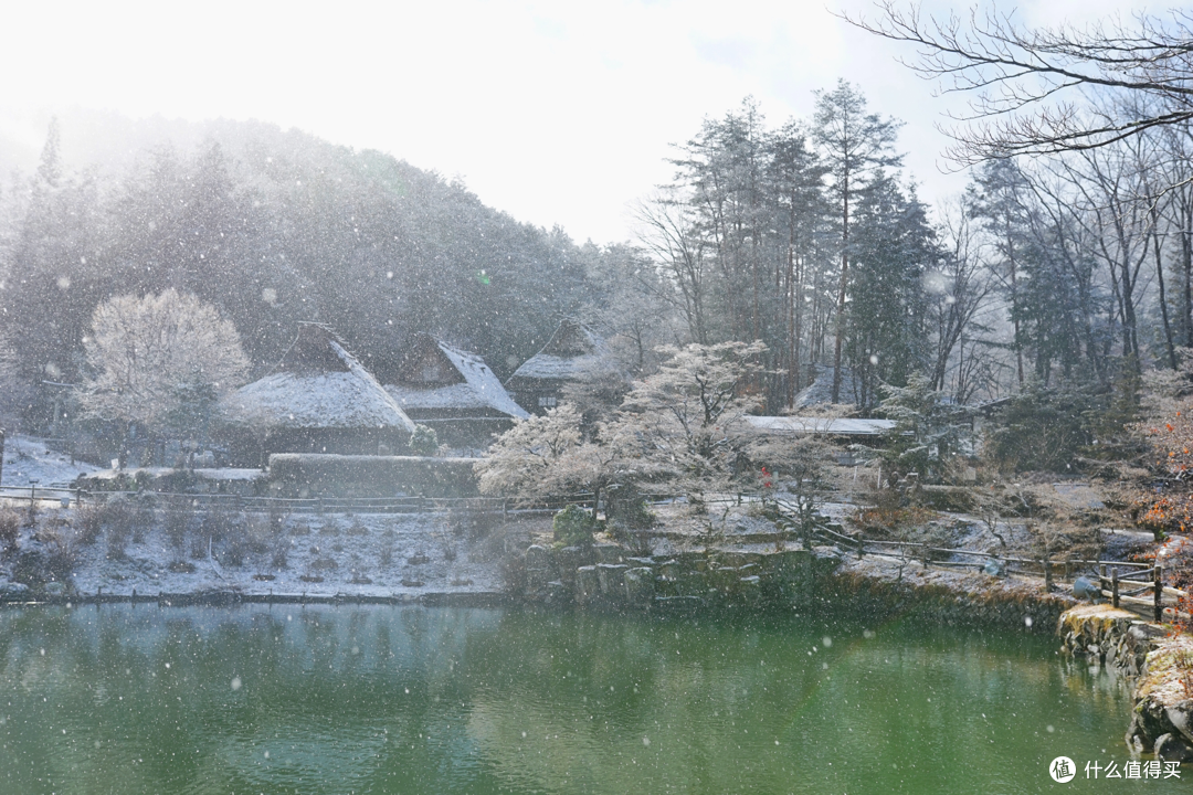 日本中部圣诞跨年之旅(名古屋,高山,新高穗,金泽)