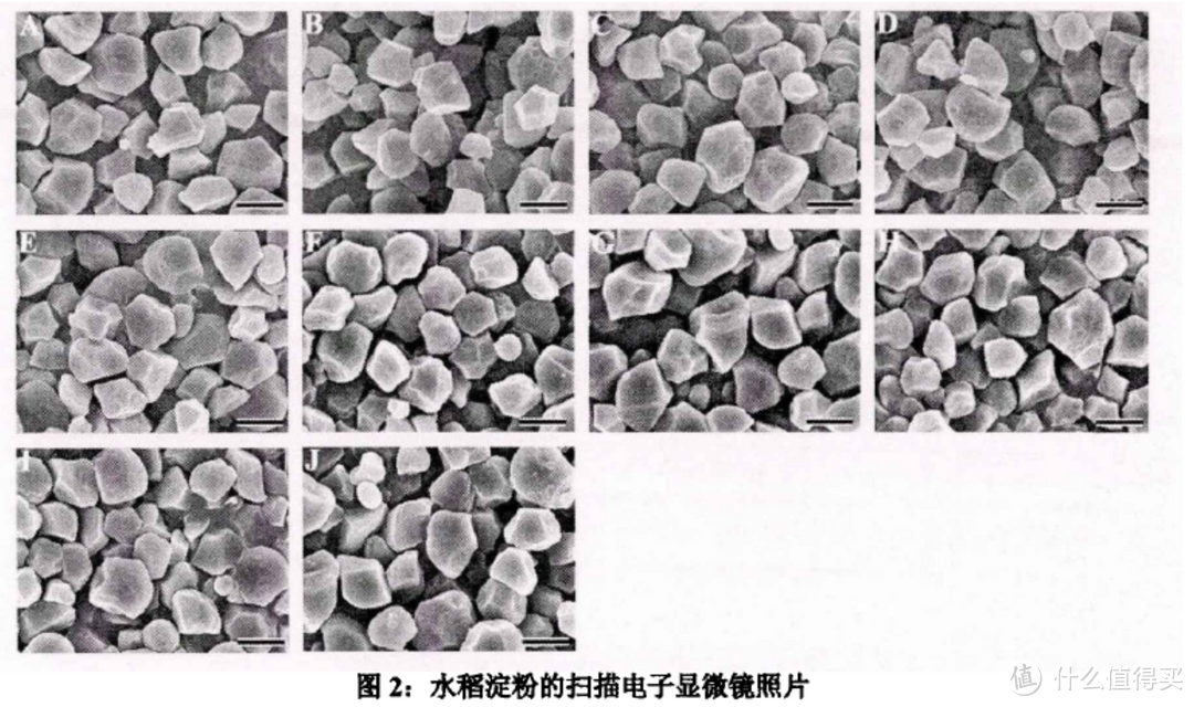 真的全是伪科学？智商税？再来聊一聊脱糖电饭煲