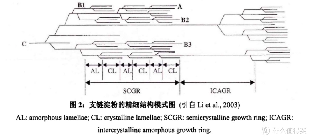 真的全是伪科学？智商税？再来聊一聊脱糖电饭煲