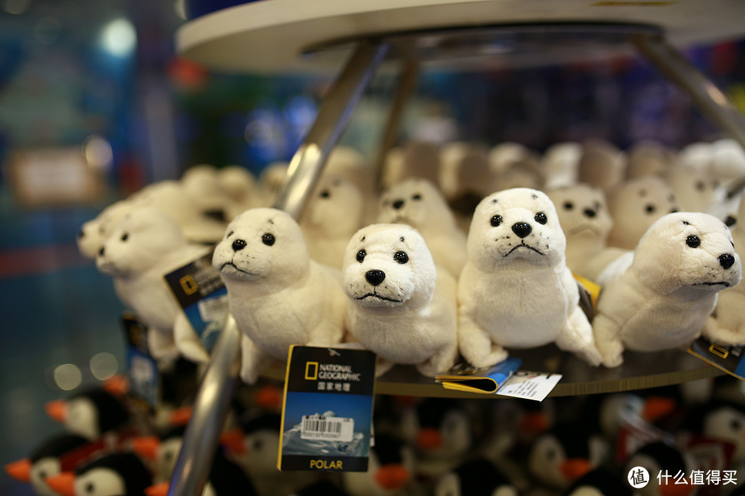 冬日溜娃好去处——上海海洋水族馆(大图较多,非wifi模式下慎入)