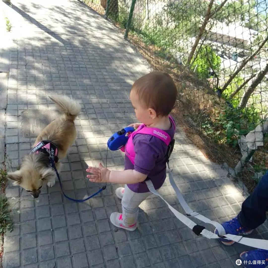 ToddlePak防走失带,带宝宝出行的好搭档!