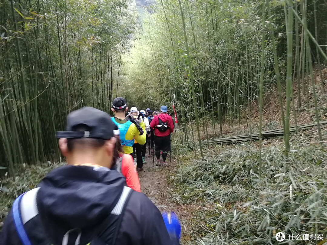 The Nice Food？TNF莫干山国际越野赛35km组“玩”赛记