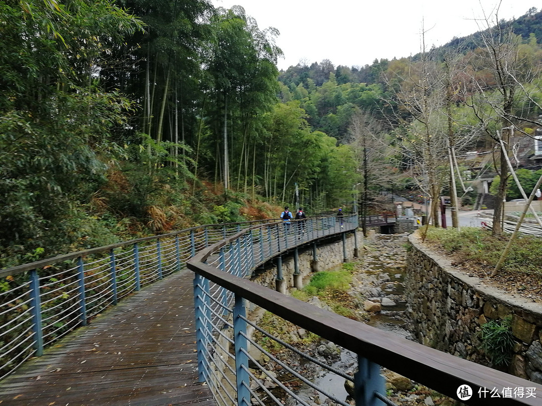 The Nice Food？TNF莫干山国际越野赛35km组“玩”赛记