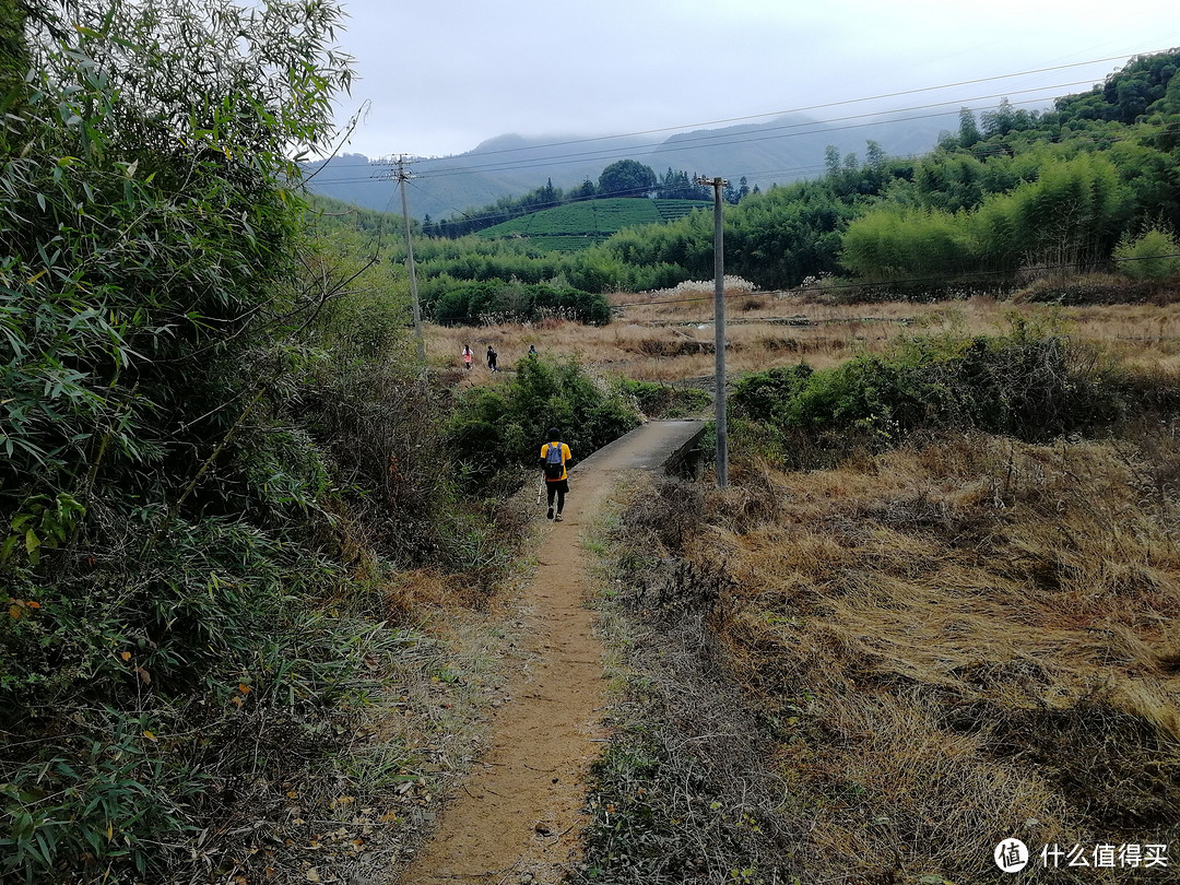 The Nice Food？TNF莫干山国际越野赛35km组“玩”赛记