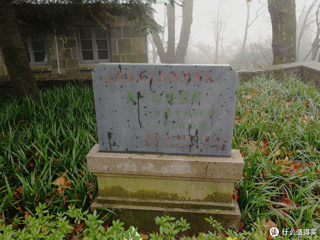 The Nice Food？TNF莫干山国际越野赛35km组“玩”赛记