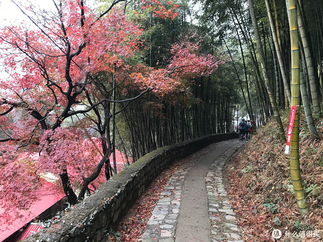 The Nice Food？TNF莫干山国际越野赛35km组“玩”赛记