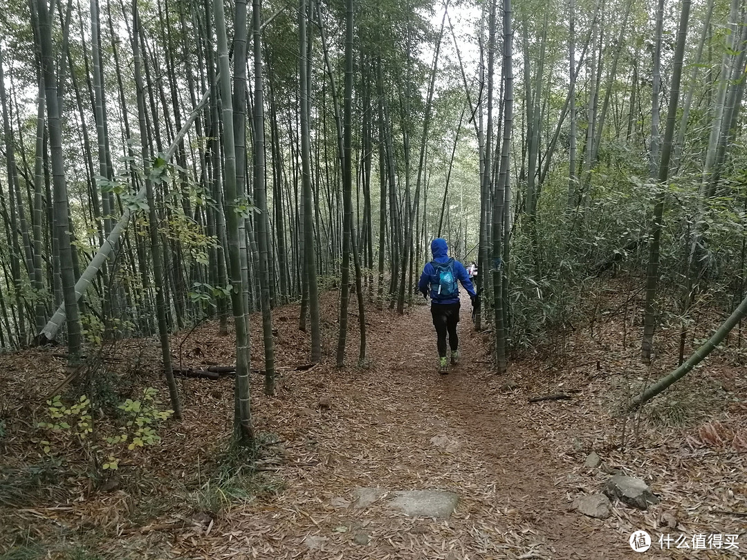 The Nice Food？TNF莫干山国际越野赛35km组“玩”赛记