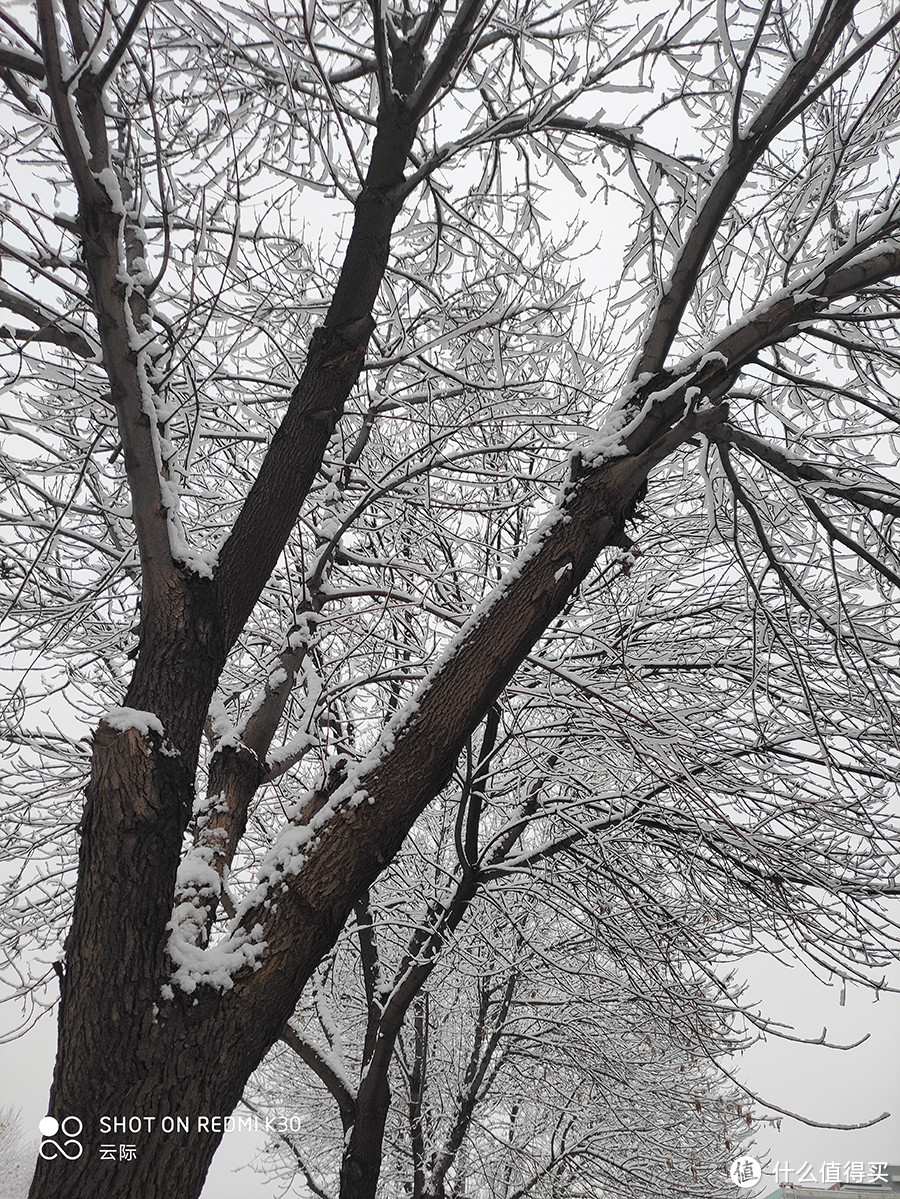 2020年北京第一场雪，带来了新惊喜