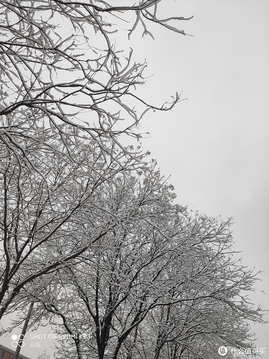 2020年北京第一场雪，带来了新惊喜