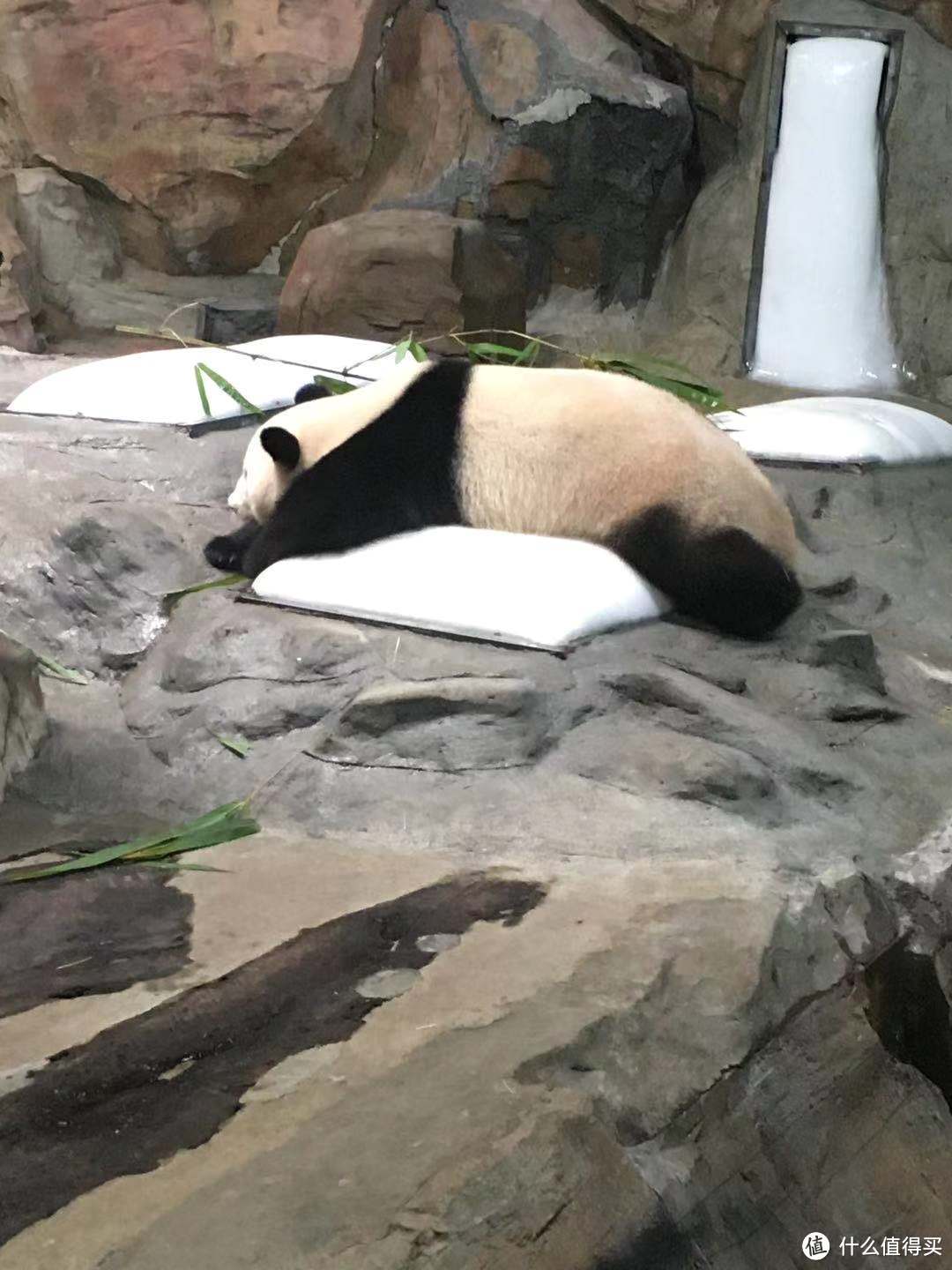 怎样和谐地度过寒假？这些地方能够救你一命，附带娃出行攻略