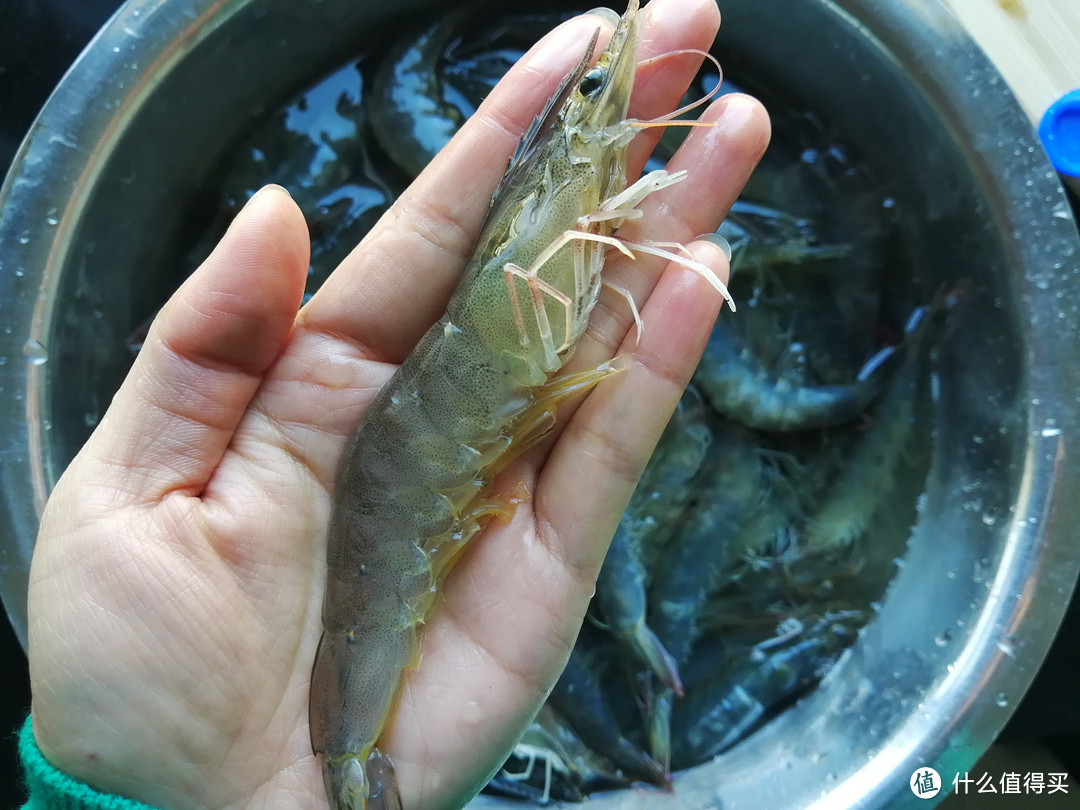 矿泉水瓶鲜虾保存法，光往瓶里加水还不够，多加一种食材更保鲜