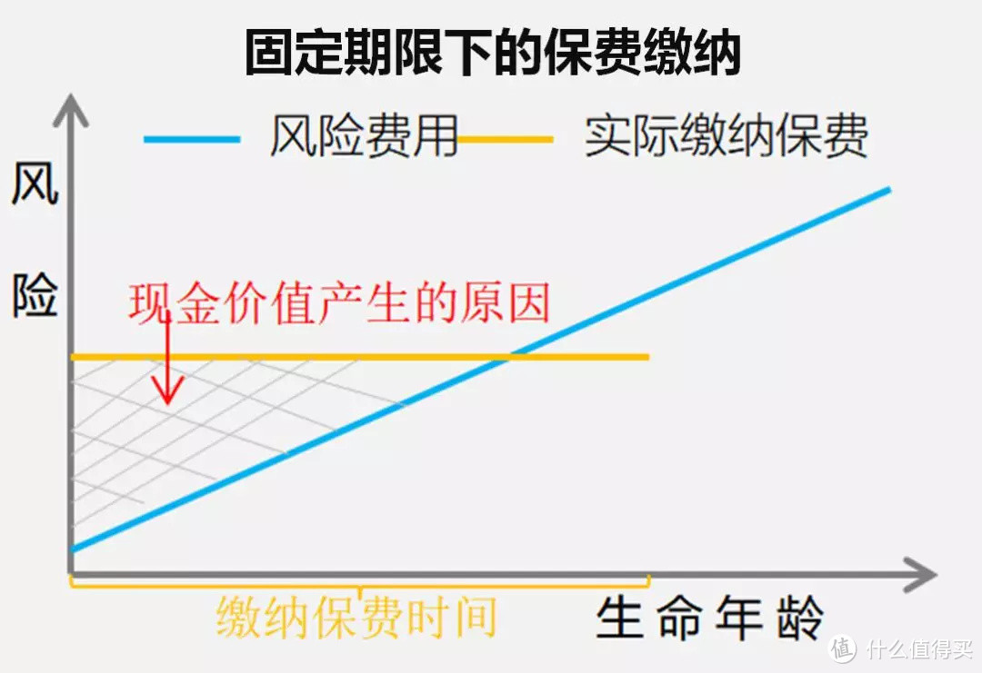 保险缴费13000+，退保只有700！保险公司“真黑”？