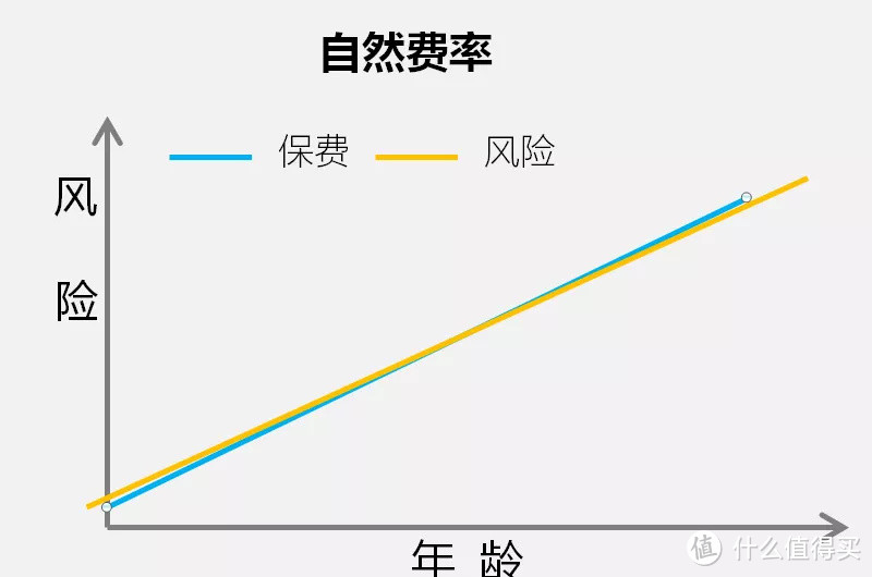 保险缴费13000+，退保只有700！保险公司“真黑”？